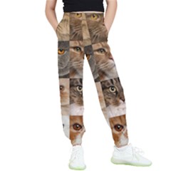 Breeds Of Cats Collage Kids  Joggers by kyorashop23