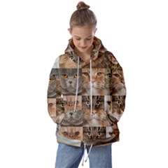 Breeds Of Cats Collage Kids  Oversized Hoodie