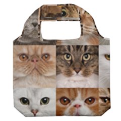 Breeds Of Cats Collage Premium Foldable Grocery Recycle Bag by kyorashop23