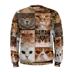 Breeds Of Cats Collage Men s Sweatshirt