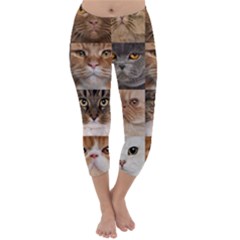 Breeds Of Cats Collage Capri Winter Leggings 