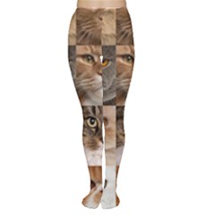 Breeds Of Cats Collage Tights