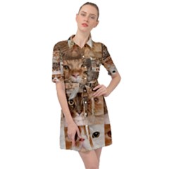 Breeds Of Cats Collage Belted Shirt Dress by kyorashop23