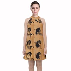 Carton, Brown Velvet Halter Neckline Dress 