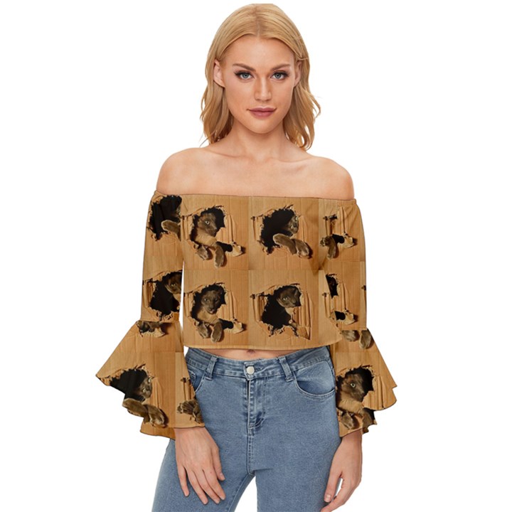 Carton, Brown Off Shoulder Flutter Bell Sleeve Top