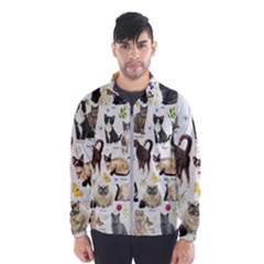 Cats, All, Collage, Cat Men s Windbreaker