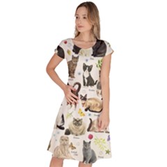 Cats, All, Collage, Cat Classic Short Sleeve Dress by kyorashop23