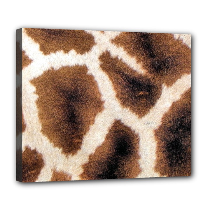 Giraffe Skin Texture Deluxe Canvas 24  x 20  (Stretched)