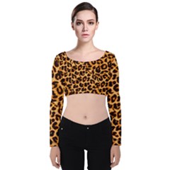 Giraffe Texture, Close-up, Giraffe Skin Texture Velvet Long Sleeve Crop Top