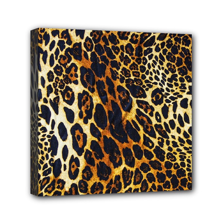 Leopard Skin Texture, Macro, Brown Mini Canvas 6  x 6  (Stretched)