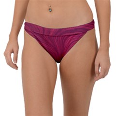 Purple Fabric Texture, Fabric Backgrounds With Lines Band Bikini Bottoms