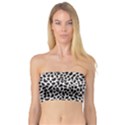 Zebra Skin, Vector Textures, White Black Background Bandeau Top View1