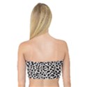 Zebra Skin, Vector Textures, White Black Background Bandeau Top View2