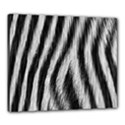 Zebra Texture, Zebra Wool, White Black Background Canvas 24  x 20  (Stretched) View1