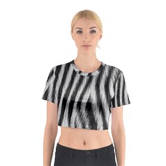 Zebra Texture, Zebra Wool, White Black Background Cotton Crop Top by kyorashop23