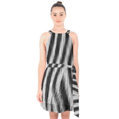 Zebra Texture, Zebra Wool, White Black Background Halter Collar Waist Tie Chiffon Dress by kyorashop23