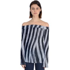 Zebra Texture, Zebra Wool, White Black Background Off Shoulder Long Sleeve Top by kyorashop23