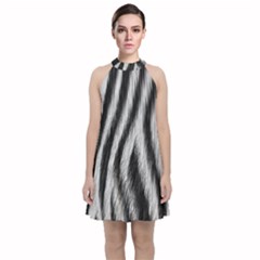 Zebra Texture, Zebra Wool, White Black Background Velvet Halter Neckline Dress 