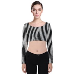 Zebra Texture, Zebra Wool, White Black Background Velvet Long Sleeve Crop Top by kyorashop23