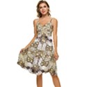 Opulent Essence Print Sleeveless Tie Front Chiffon Dress View1