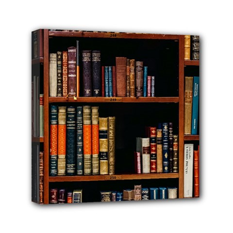 Assorted Title Of Books Piled In The Shelves Assorted Book Lot Inside The Wooden Shelf Mini Canvas 6  X 6  (stretched) by Bedest