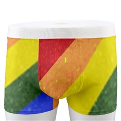 Lgtb+ Colorful  Stripes Print  Men s Boxer Briefs by dflcprintsclothing