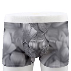 Silver Blossom Elegance Print  Men s Boxer Briefs by dflcprintsclothing