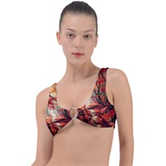 Forest Path Red Nature Ring Detail Bikini Top by Bedest