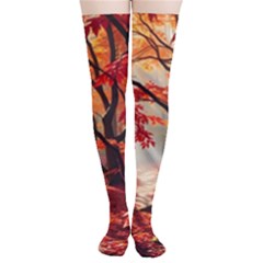 Forest Path Red Nature Thigh High Stockings