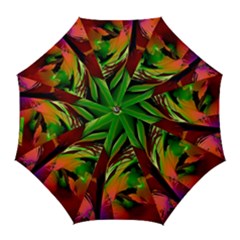 Splash Golf Umbrellas