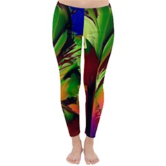 Splash Classic Winter Leggings