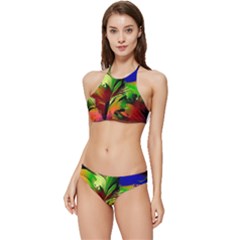 Splash Banded Triangle Bikini Set by geonetique