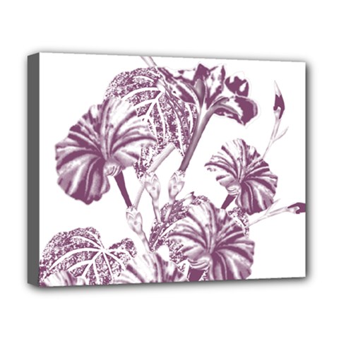 A Drawing Of A Plant With Purple Flowers Deluxe Canvas 20  X 16  (stretched) by catchydesignhill