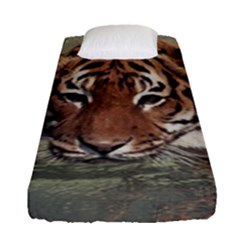 Swimming Tiger Fitted Sheet (single Size) by ExtraGoodSauce