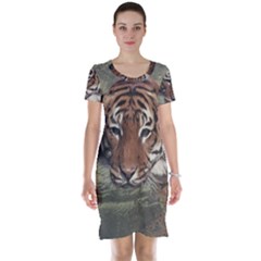 Swimming Tiger Short Sleeve Nightdress by ExtraGoodSauce