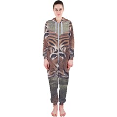 Swimming Tiger Hooded Jumpsuit (ladies)