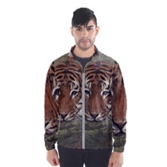 Swimming Tiger Men s Windbreaker