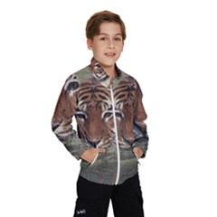 Swimming Tiger Kids  Windbreaker