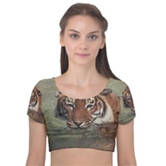 Swimming Tiger Velvet Short Sleeve Crop Top  by ExtraGoodSauce