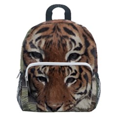 Swimming Tiger Kids  Age 5-10 Lightweight School Backpack With Side Pockets by ExtraGoodSauce