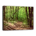 Peaceful Green Forest Walk Canvas 16  x 12  (Stretched) View1