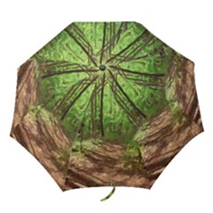 Peaceful Green Forest Walk Folding Umbrellas by ExtraGoodSauce