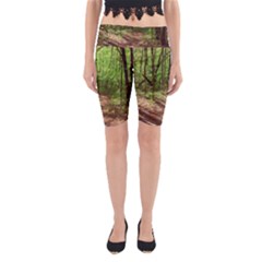 Peaceful Green Forest Walk Yoga Cropped Leggings by ExtraGoodSauce