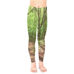 Peaceful Green Forest Walk Kids  Leggings by ExtraAwesomeSauce