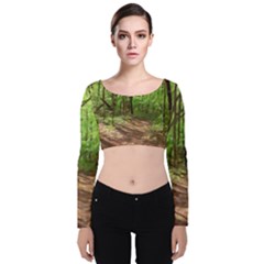 Peaceful Green Forest Walk Velvet Long Sleeve Crop Top by ExtraGoodSauce