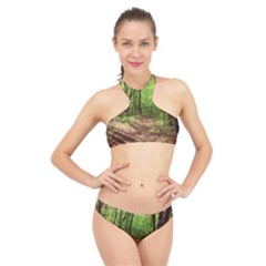 Peaceful Green Forest Walk High Neck Bikini Set by ExtraGoodSauce