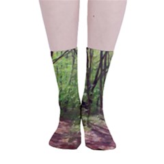 Peaceful Green Forest Walk Smooth Crew Length Tube Socks