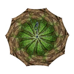 Peaceful Green Forest Walk Automatic Folding Umbrella With Case (large) by ExtraGoodSauce