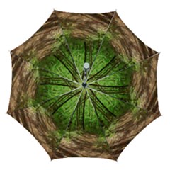 Peaceful Green Forest Walk Automatic Folding Umbrella With Case (medium) by ExtraGoodSauce