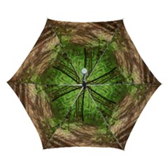 Peaceful Green Forest Walk Automatic Folding Umbrella With Case (small) by ExtraGoodSauce